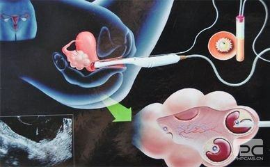 本院简介